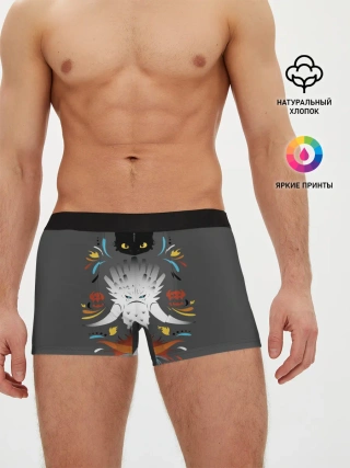 Мужские трусы боксеры / Как приручить дракона