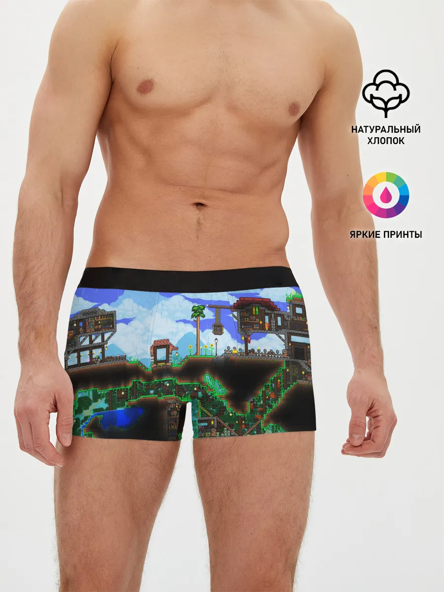 Мужские трусы боксеры / TERRARIA