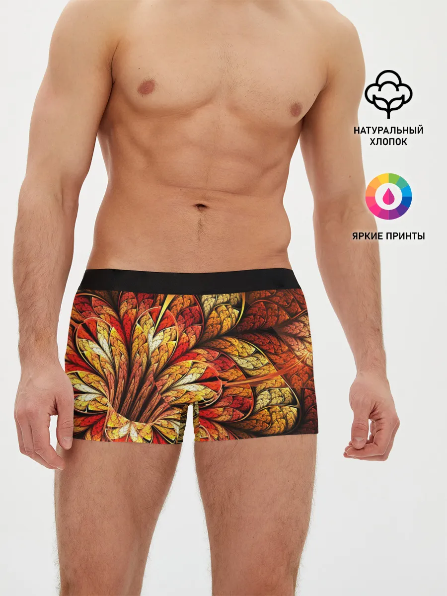 Мужские трусы боксеры / ФРАКТАЛЬНЫЙ УЗОР