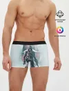 Мужские трусы боксеры / Assassins Creed: Rogue