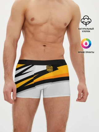 Мужские трусы боксеры / League of Legends