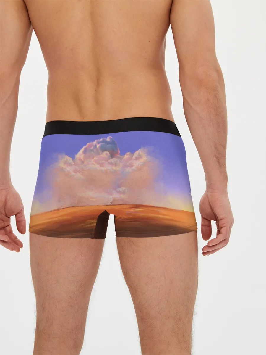 Мужские трусы боксеры / Snapfire