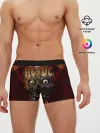 Мужские трусы боксеры / AC/DC