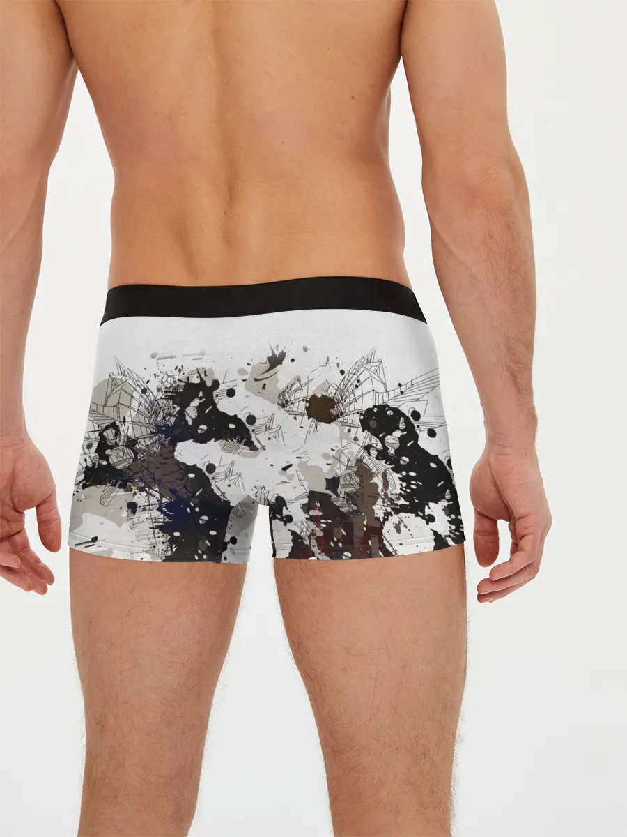 Мужские трусы боксеры / Assassins Creed