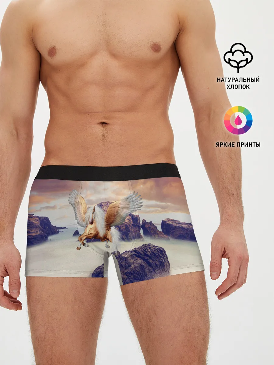 Мужские трусы боксеры / Sea Sunset Horse
