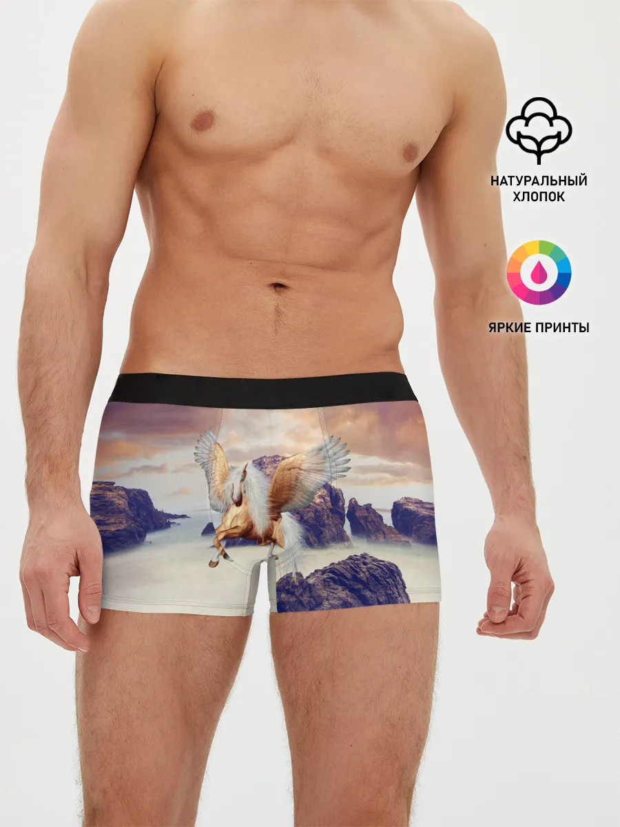 Мужские трусы боксеры / Sea Sunset Horse