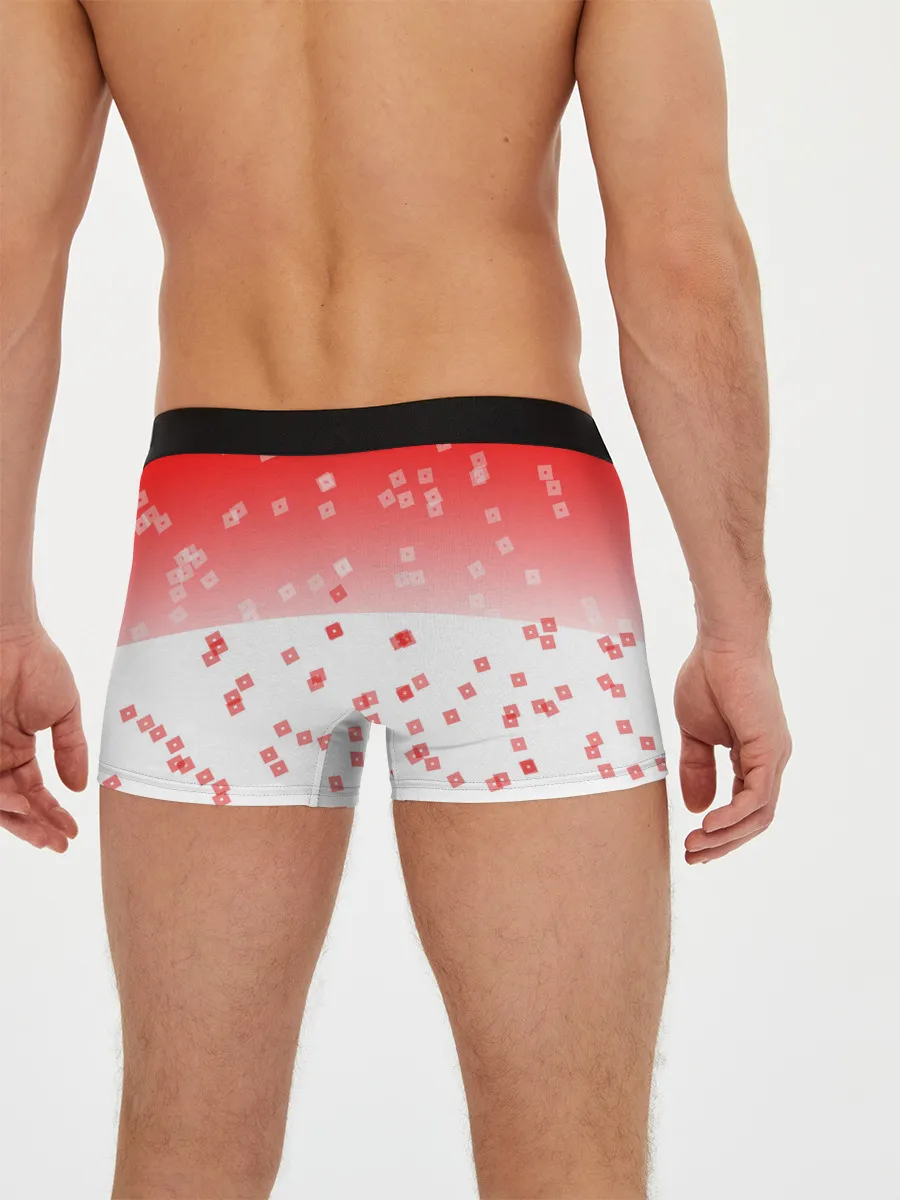 Мужские трусы боксеры / ROBLOX