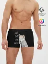 Мужские трусы боксеры / Sleep Eat Play Repeat