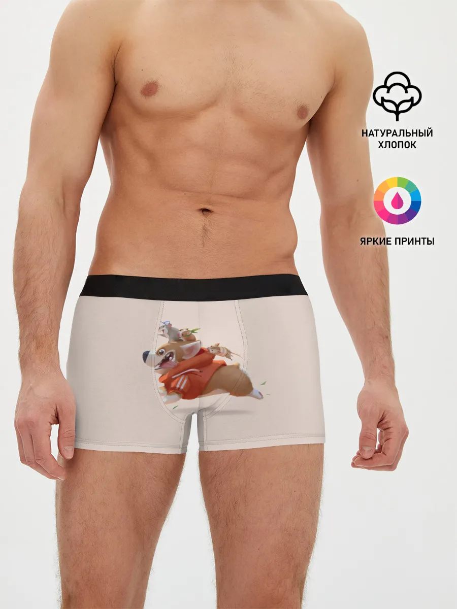 Мужские трусы боксеры / КОРГИ И МЫШАТА