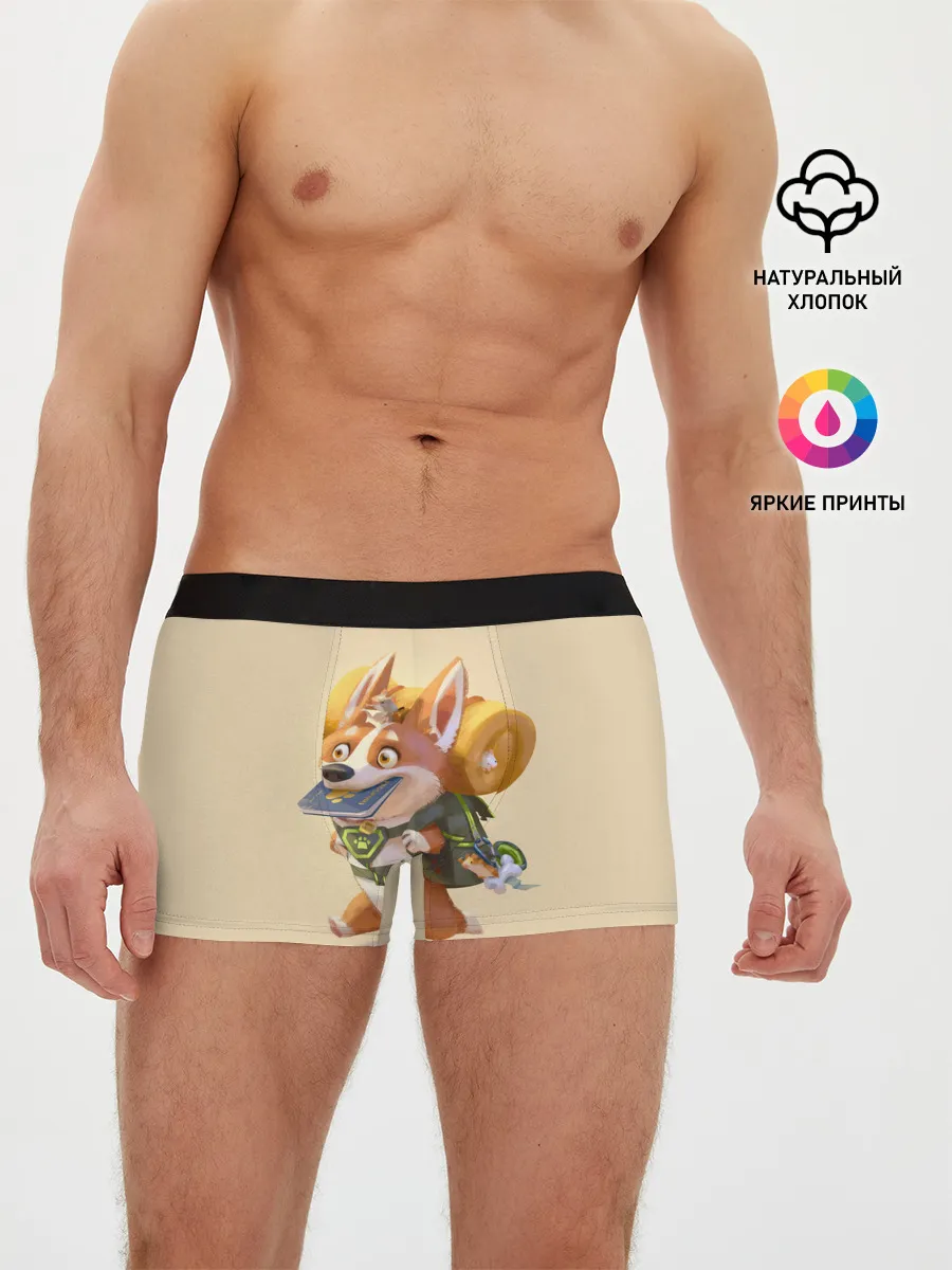 Мужские трусы боксеры / КОРГИ ПУТЕШЕСТВЕННИК