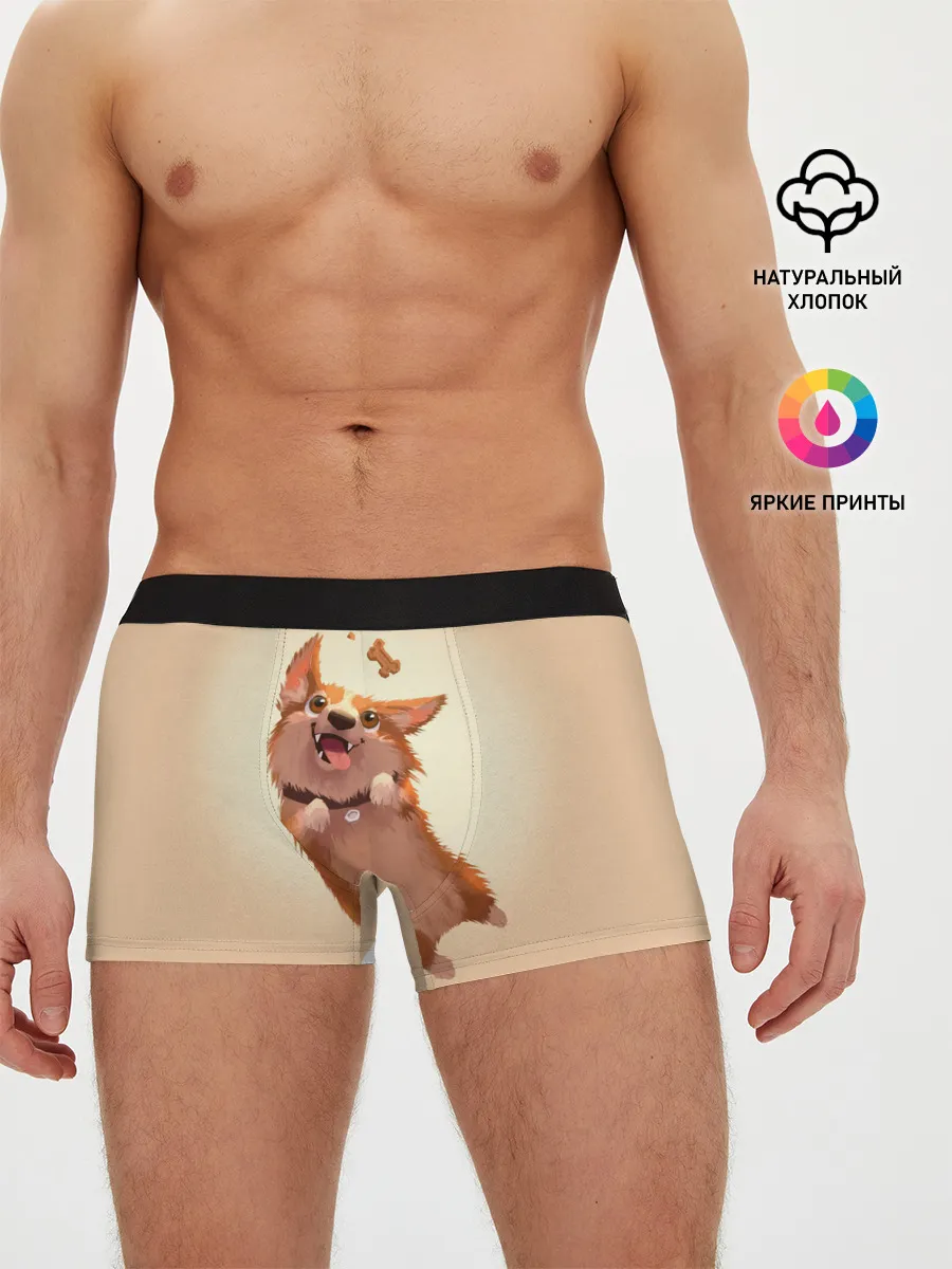 Мужские трусы боксеры / КОРГИ