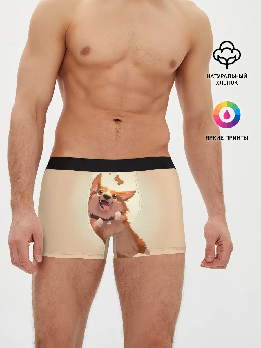 Мужские трусы боксеры / КОРГИ