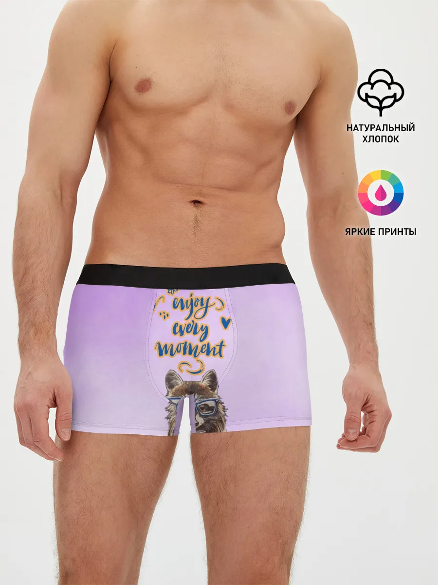 Мужские трусы боксеры / Енот