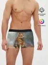 Мужские трусы боксеры / КОРГИ ЛУЧНИК