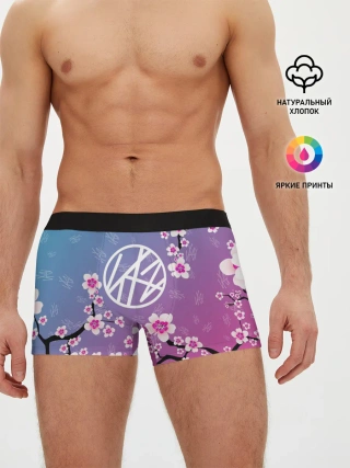 Мужские трусы боксеры / Stray Kids