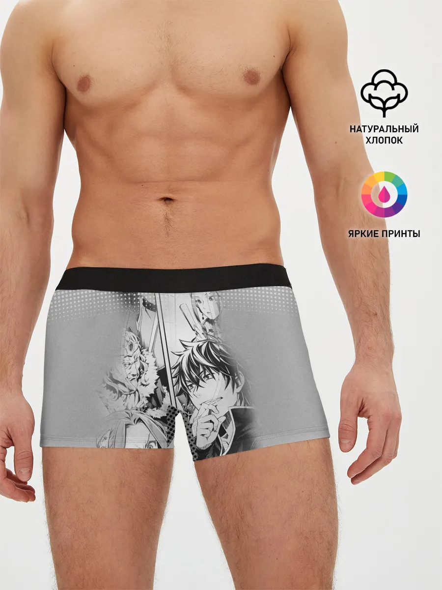 Мужские трусы боксеры / The Rising of the Shield Hero