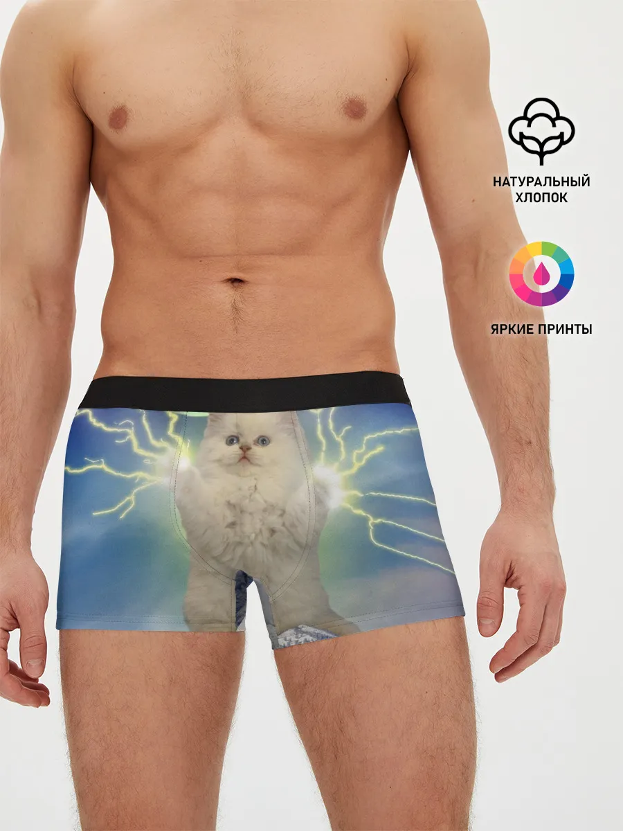 Мужские трусы боксеры / Грозовой Котик