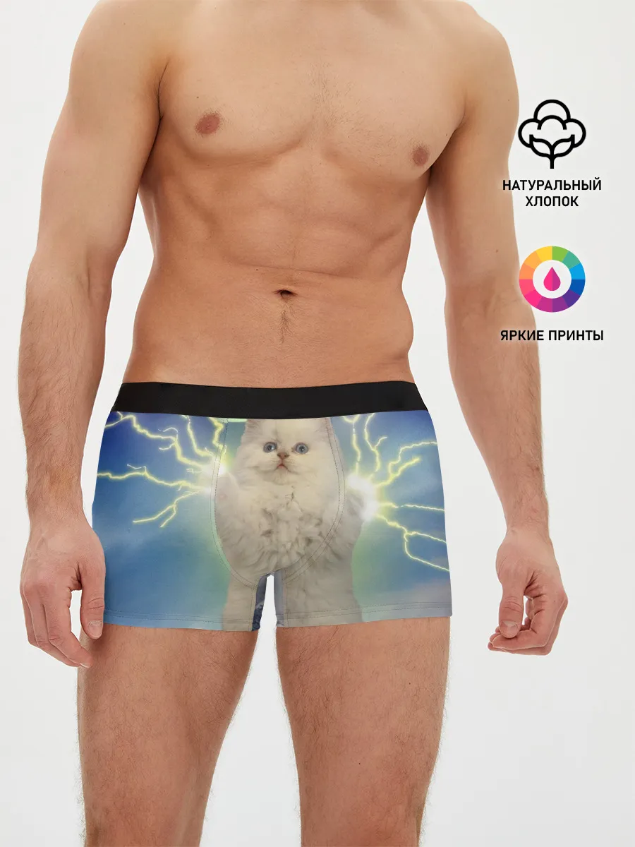 Мужские трусы боксеры / Грозовой Котик
