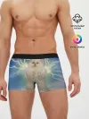 Мужские трусы боксеры / Грозовой Котик