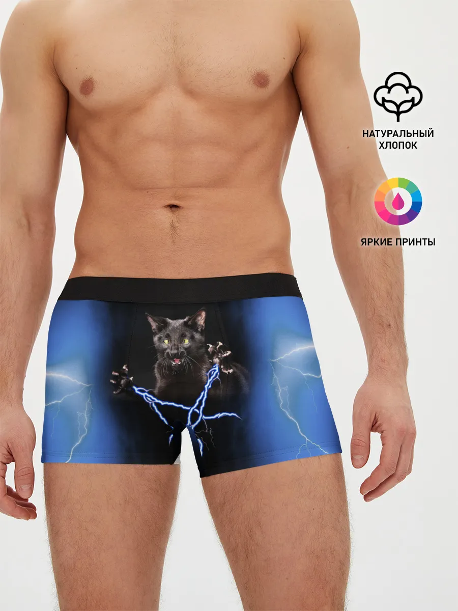Мужские трусы боксеры / Грозовой кошак