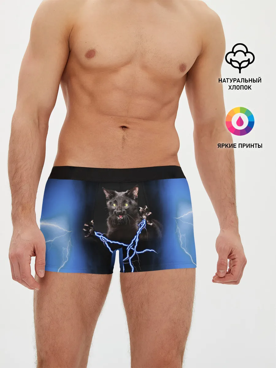 Мужские трусы боксеры / Грозовой кошак