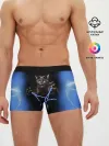 Мужские трусы боксеры / Грозовой кошак