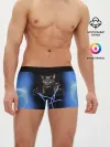 Мужские трусы боксеры / Грозовой кошак