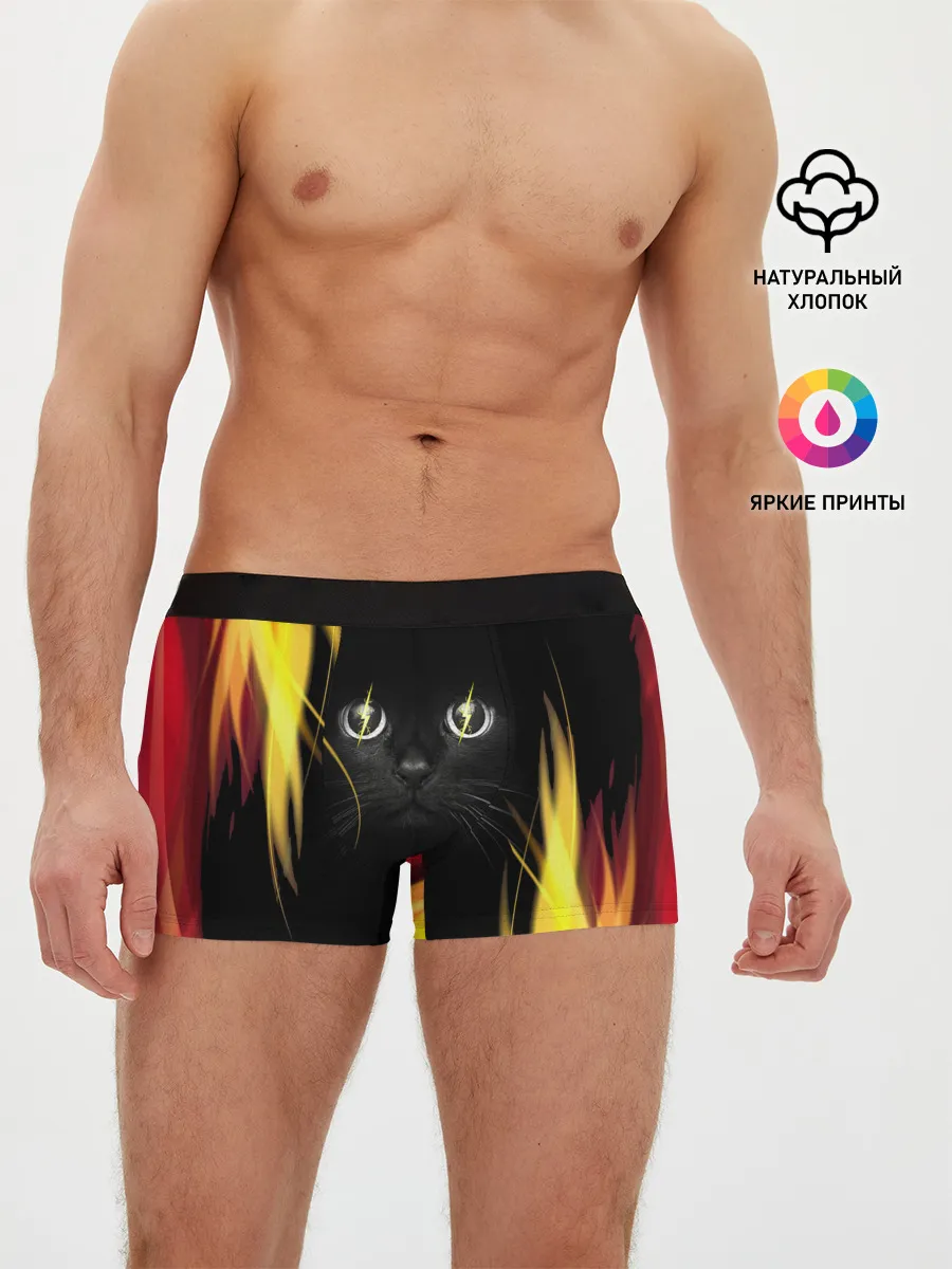Мужские трусы боксеры / Грозовой кошак