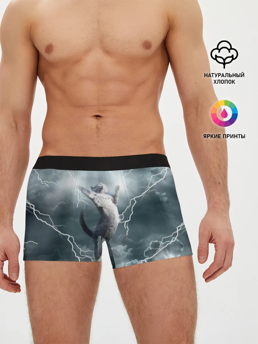 Мужские трусы боксеры / Грозовой кошак.
