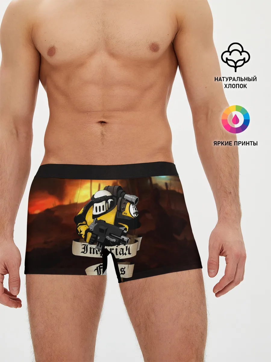 Мужские трусы боксеры / Imperial Fists