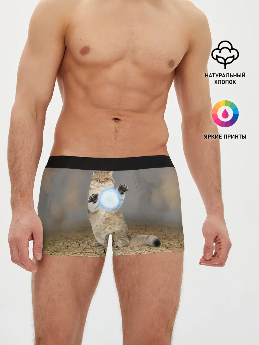 Мужские трусы боксеры / Земляной кошак с расенганом