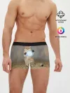 Мужские трусы боксеры / Земляной кошак с расенганом