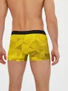 Мужские трусы боксеры / YELLOW ABSTRACT