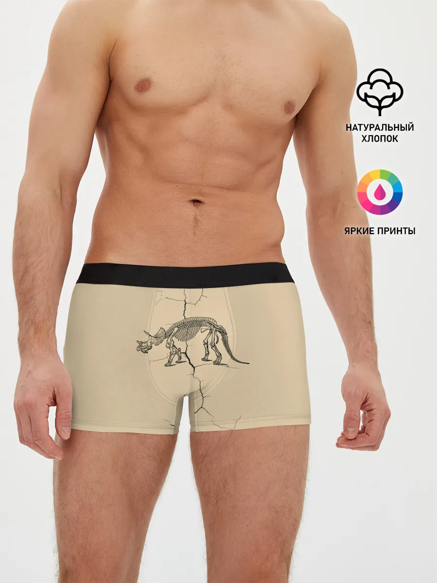 Мужские трусы боксеры / Triceratops skeleton