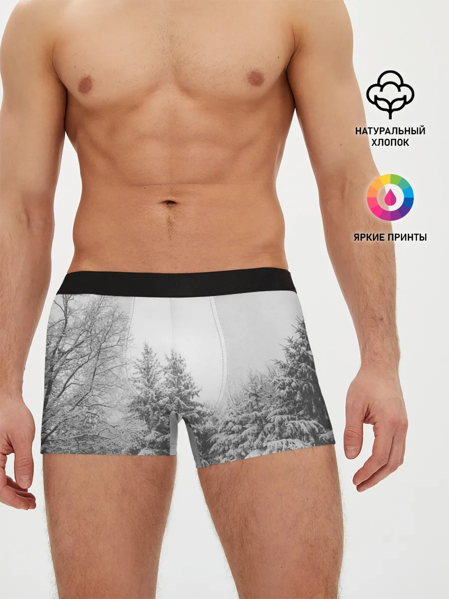 Мужские трусы боксеры / Winter Storm