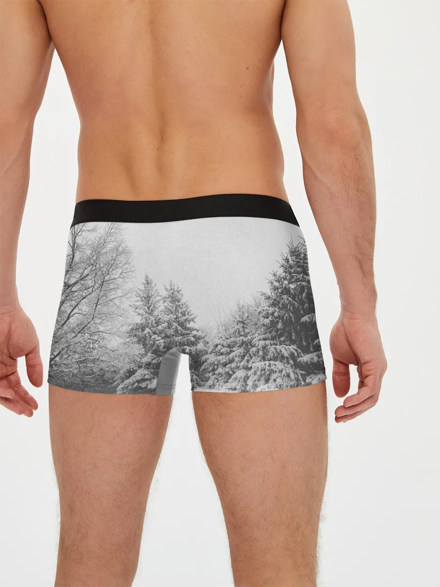 Мужские трусы боксеры / Winter Storm