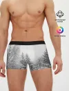 Мужские трусы боксеры / Winter Storm