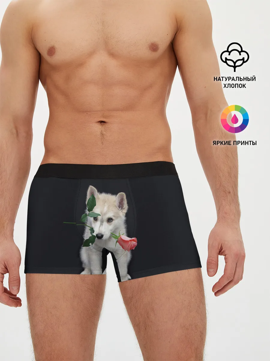 Мужские трусы боксеры / Щенок в подарок