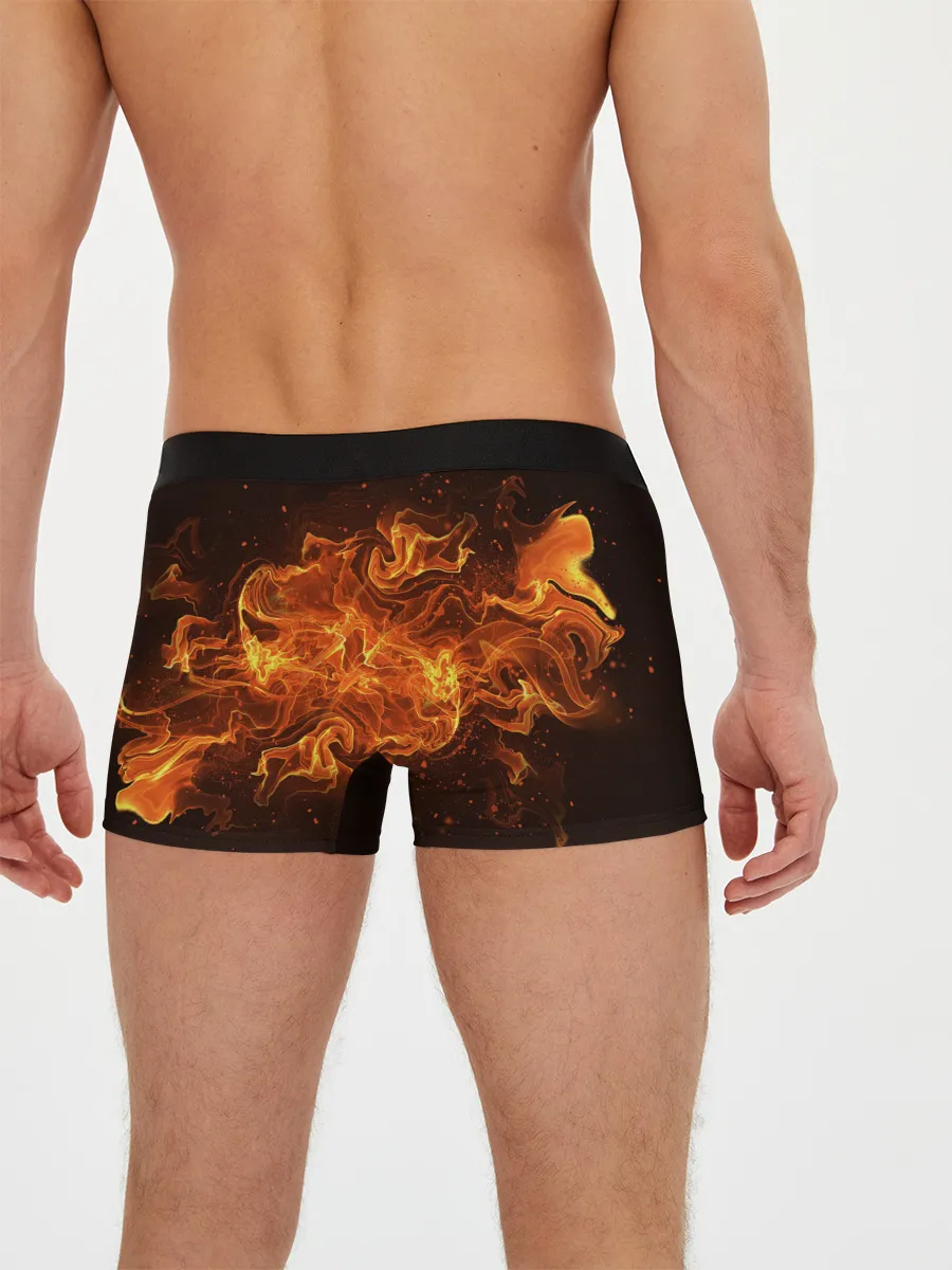 Мужские трусы боксеры / Led Zeppelin