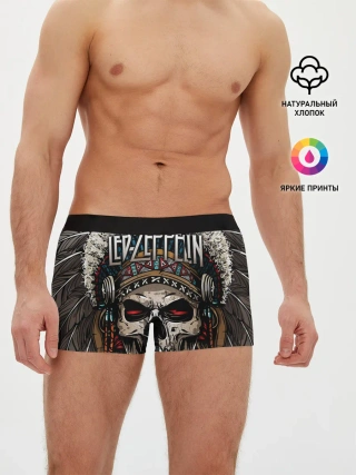 Мужские трусы боксеры / Led Zeppelin