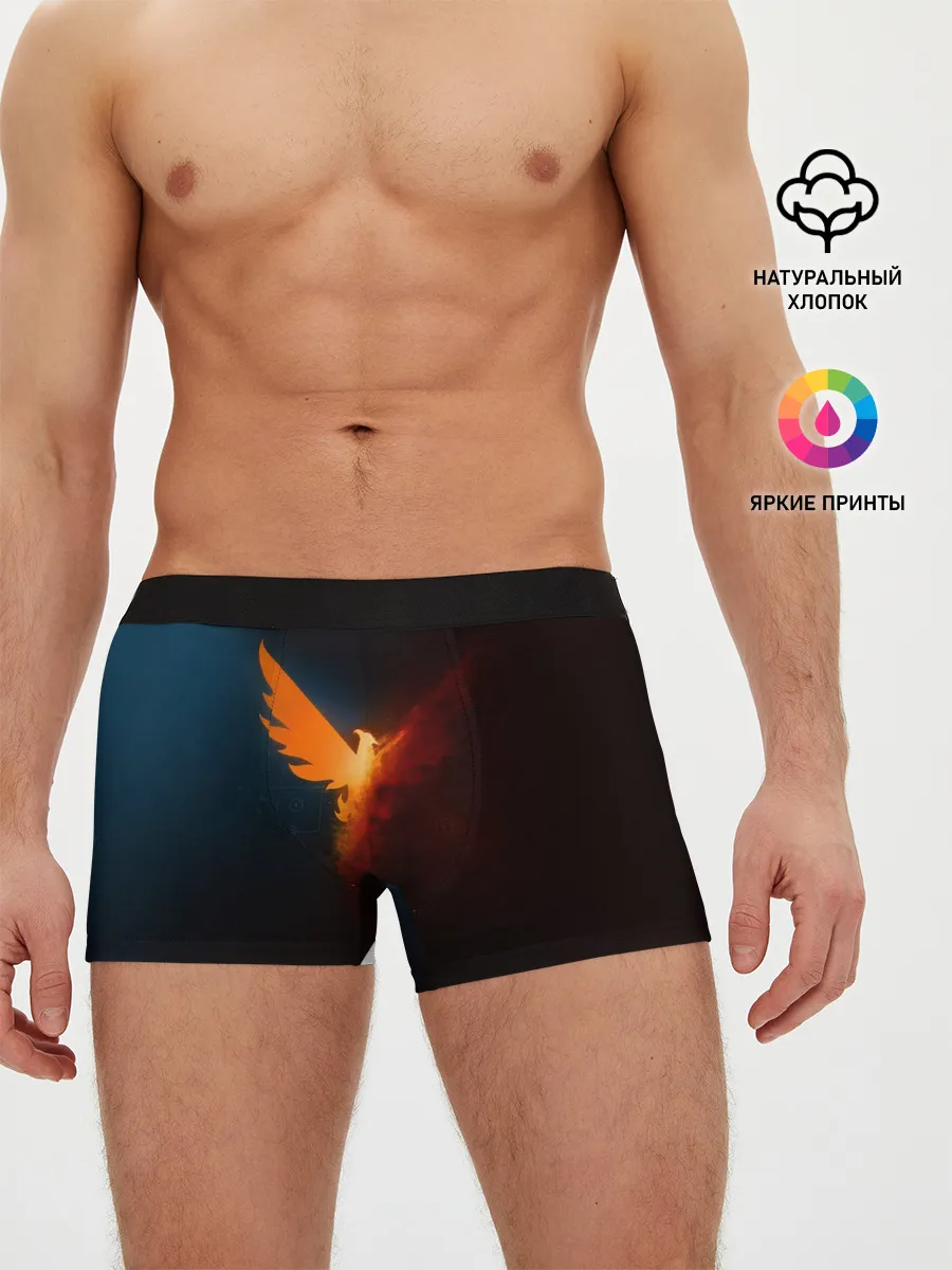 Мужские трусы боксеры / The Division 2