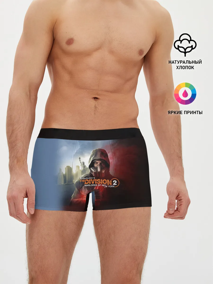 Мужские трусы боксеры / The Division 2