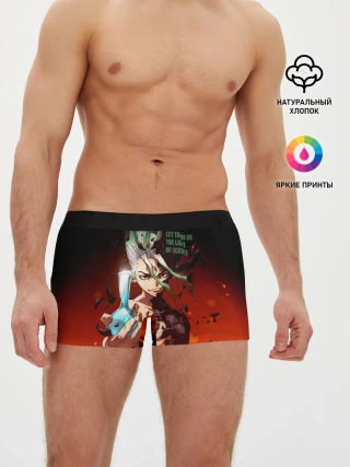 Мужские трусы боксеры / Доктор Стоун