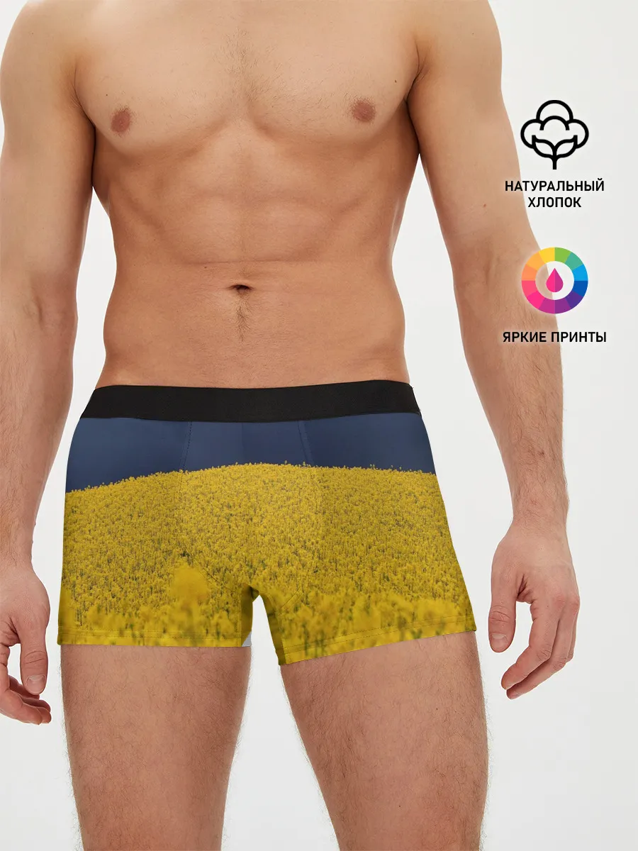 Мужские трусы боксеры / Рапсовое поле
