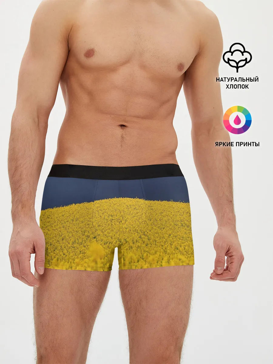 Мужские трусы боксеры / Рапсовое поле
