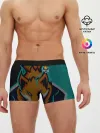 Мужские трусы боксеры / Форма Foxfire