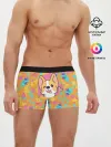 Мужские трусы боксеры / Милый корги