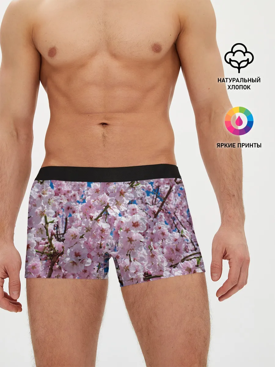 Мужские трусы боксеры / Цветущая Сакура