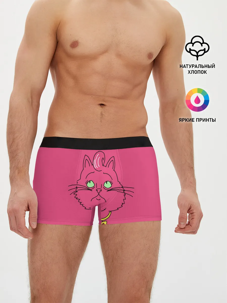 Мужские трусы боксеры / Princess Carolyn