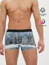 Мужские трусы боксеры / Зимний лес